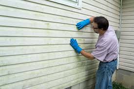 Best Storm Damage Siding Repair  in West Alexandria, OH